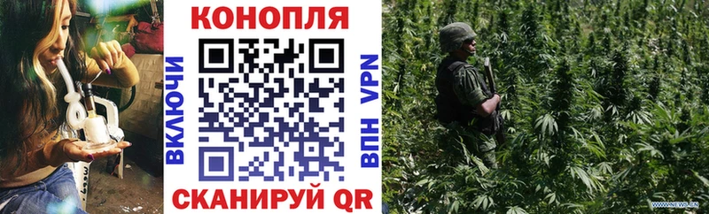 Конопля ГИДРОПОН Эртиль